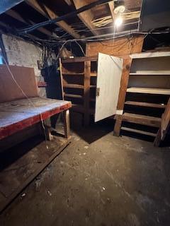 313 Morse St, Ionia, MI 48846 - view of unfinished below grade area