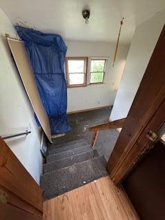 313 Morse St, Ionia, MI 48846 - view of stairs
