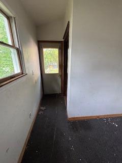 313 Morse St, Ionia, MI 48846 - hallway with healthy amount of natural light