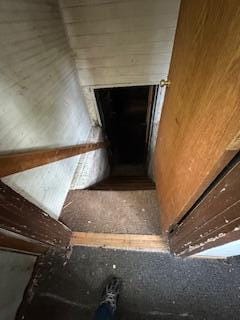 313 Morse St, Ionia, MI 48846 - view of stairs
