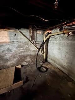 313 Morse St, Ionia, MI 48846 - view of unfinished below grade area