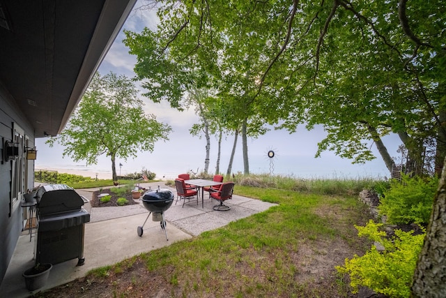 3524 Lakeshore Rd, Manistee, MI 49660 - view of yard featuring a patio area