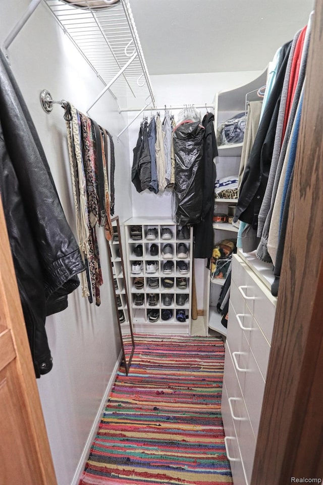 33566 Rhonswood St, Farmington Hills, MI 48335 - spacious closet featuring carpet floors