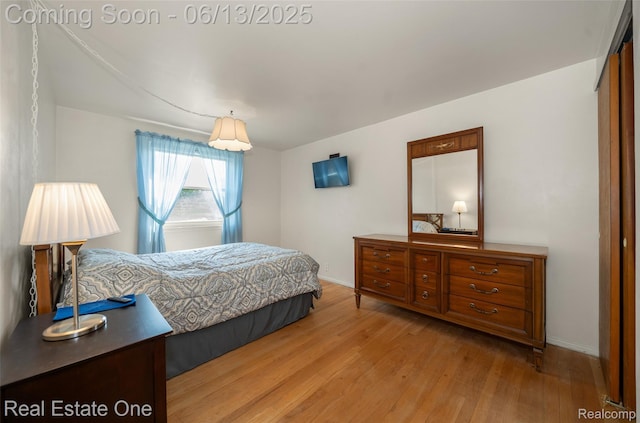 20107 Merle Ct, Eastpointe, MI 48035 - bedroom with light wood finished floors and baseboards