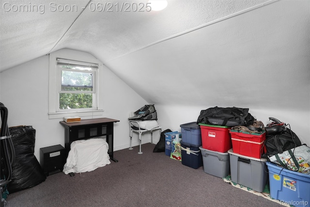 10997 Stark Rd, Livonia, MI 48150 - additional living space featuring lofted ceiling, a textured ceiling, and carpet