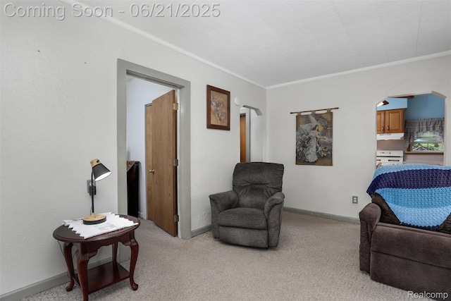 10997 Stark Rd, Livonia, MI 48150 - sitting room with arched walkways, crown molding, and light carpet