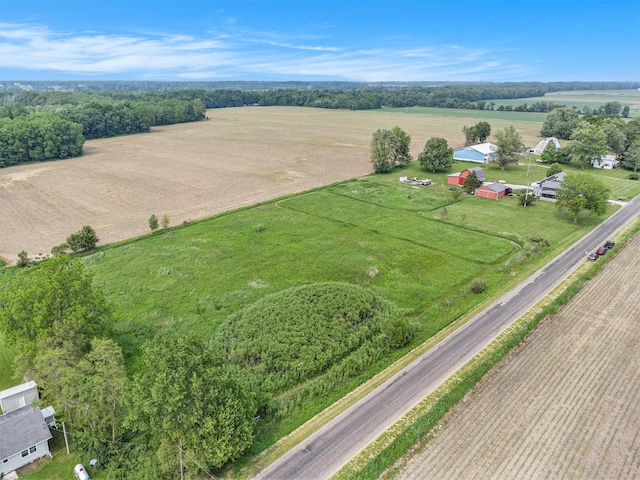 598 Dayburg Rd, Coldwater, MI 49036 - aerial view of sparsely populated area featuring farmland