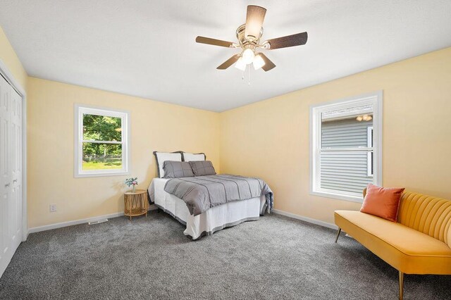 310 Hillview St, Buchanan, MI 49107 - carpeted bedroom with a closet and ceiling fan