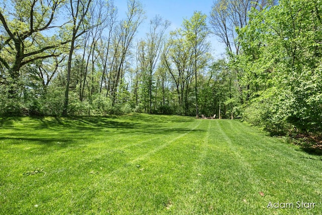 3980 Hathaway Rd, Kalamazoo, MI 49009 - view of green lawn