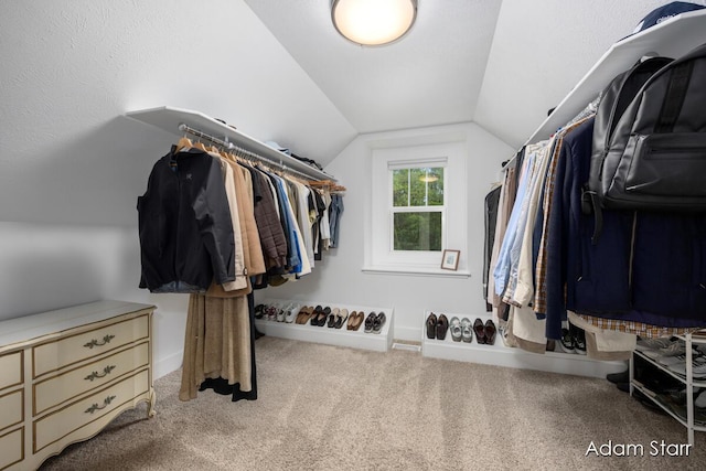 3980 Hathaway Rd, Kalamazoo, MI 49009 - walk in closet with carpet floors and lofted ceiling