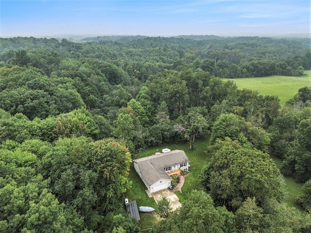 5293 Bartonville Rd, Belding, MI 48809 - view from above of property with a heavily wooded area