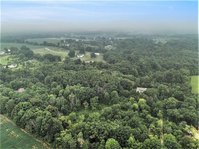 5293 Bartonville Rd, Belding, MI 48809 - bird's eye view of a forest