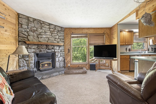 5293 Bartonville Rd, Belding, MI 48809 - carpeted living area with wooden walls and a textured ceiling