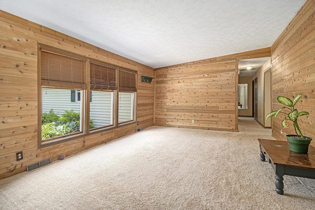 5293 Bartonville Rd, Belding, MI 48809 - unfurnished room with wooden walls, a textured ceiling, and light carpet