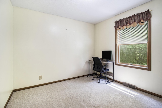 5293 Bartonville Rd, Belding, MI 48809 - carpeted home office with baseboards