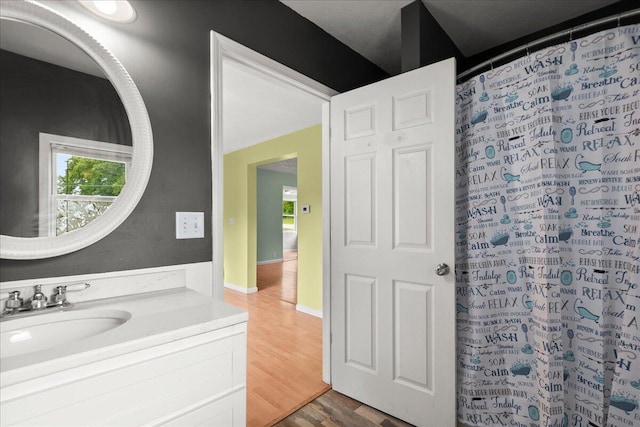 524 Kiddville St, Belding, MI 48809 - full bathroom featuring vanity, wood finished floors, and a shower with curtain
