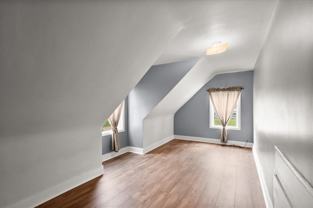524 Kiddville St, Belding, MI 48809 - bonus room featuring wood finished floors and lofted ceiling