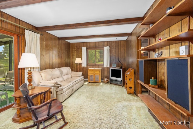 4410 Delaware Rd, Fremont, MI 49412 - living area featuring wood walls, carpet flooring, and beam ceiling
