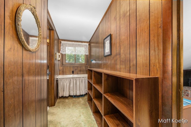 4410 Delaware Rd, Fremont, MI 49412 - walk in closet featuring carpet floors