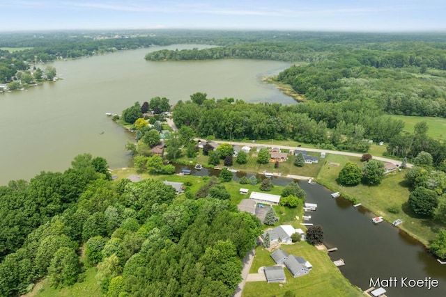 4410 Delaware Rd, Fremont, MI 49412 - bird's eye view of a large body of water and a heavily wooded area