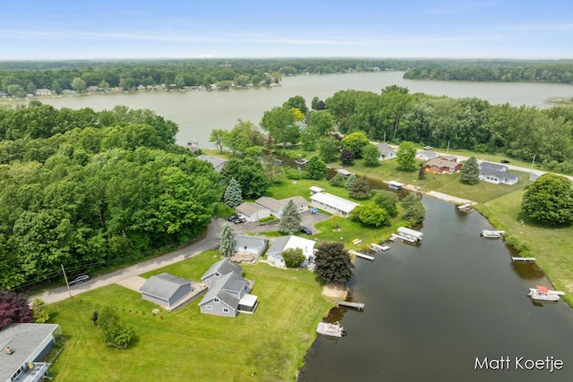 4410 Delaware Rd, Fremont, MI 49412 - bird's eye view of a large body of water