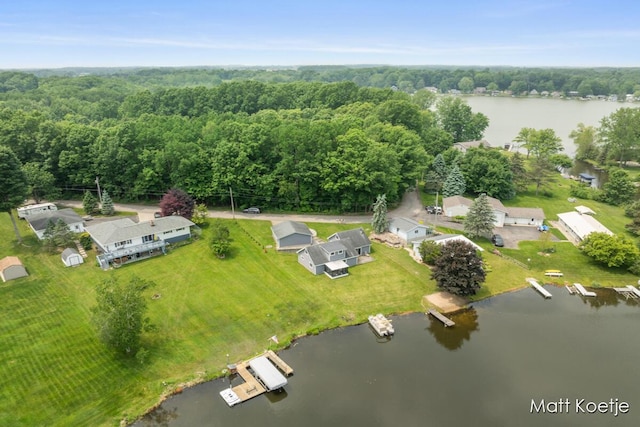 4410 Delaware Rd, Fremont, MI 49412 - aerial overview of property's location with a large body of water and a heavily wooded area