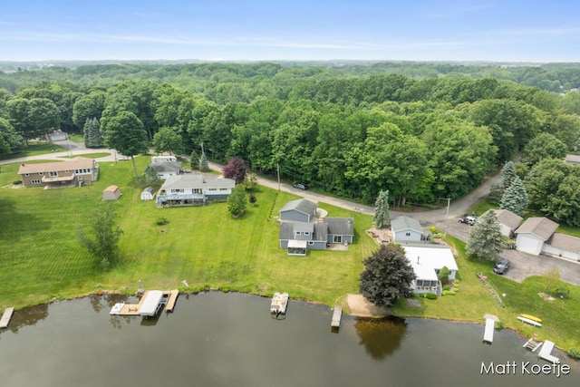 4410 Delaware Rd, Fremont, MI 49412 - drone / aerial view of a forest and a large body of water