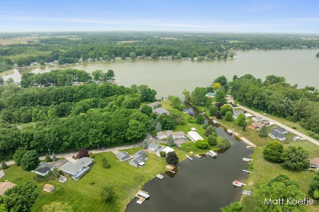 4410 Delaware Rd, Fremont, MI 49412 - aerial view of property's location with a large body of water