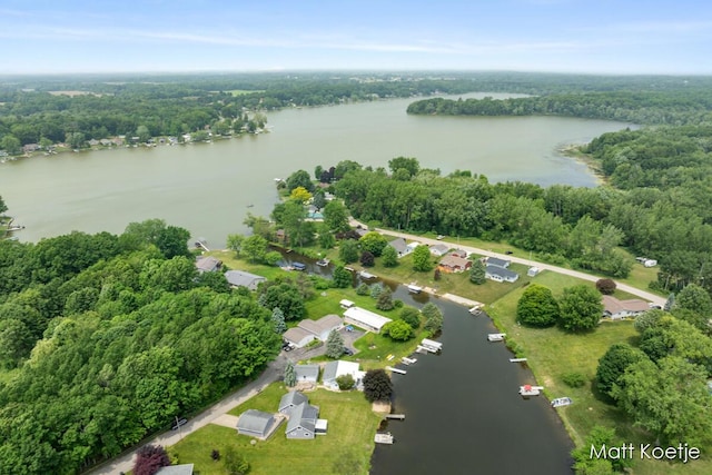4410 Delaware Rd, Fremont, MI 49412 - bird's eye view of a nearby body of water
