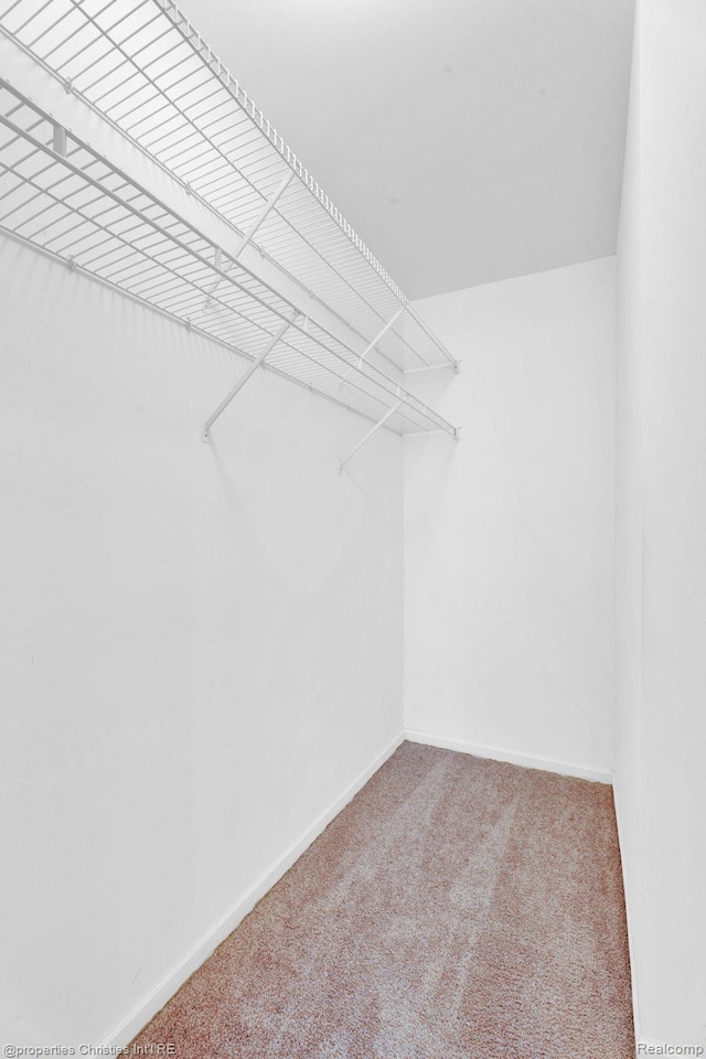 3 Cornell Ct Unit 27, Dearborn, MI 48124 - walk in closet with carpet floors