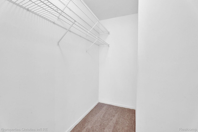3 Cornell Ct Unit 27, Dearborn, MI 48124 - spacious closet featuring carpet