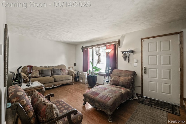 37649 Castle Dr, Romulus, MI 48174 - living area with a textured ceiling and wood finished floors