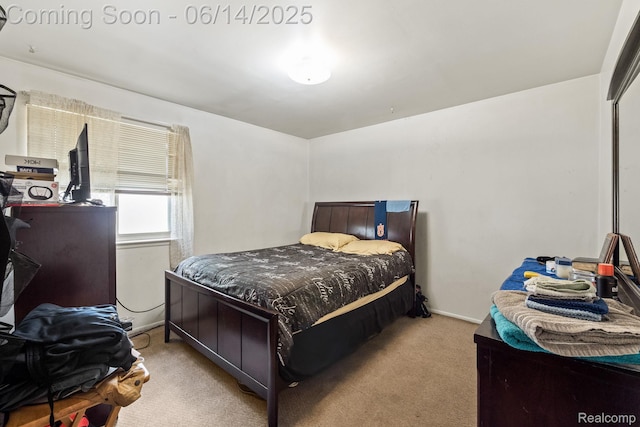 37649 Castle Dr, Romulus, MI 48174 - bedroom with carpet and baseboards