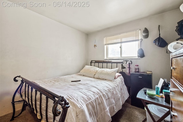 37649 Castle Dr, Romulus, MI 48174 - bedroom featuring carpet floors