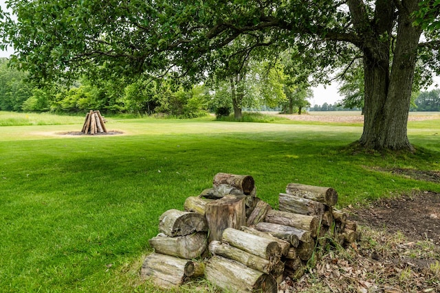 10001 Date Rd, Baroda, MI 49101 - view of green lawn