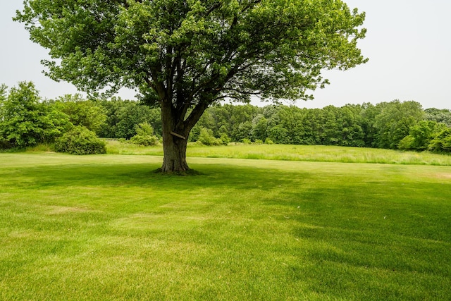 10001 Date Rd, Baroda, MI 49101 - view of grassy yard
