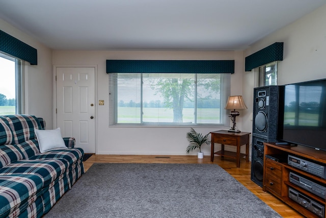 10001 Date Rd, Baroda, MI 49101 - living room featuring light wood finished floors