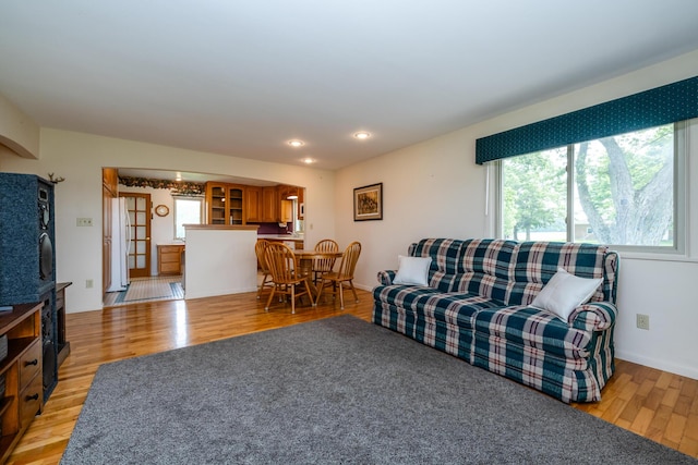 10001 Date Rd, Baroda, MI 49101 - living room with light wood-type flooring, a fireplace, and recessed lighting