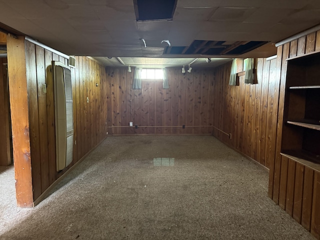 911 Napier Ave, Saint Joseph, MI 49085 - below grade area with carpet flooring and wooden walls