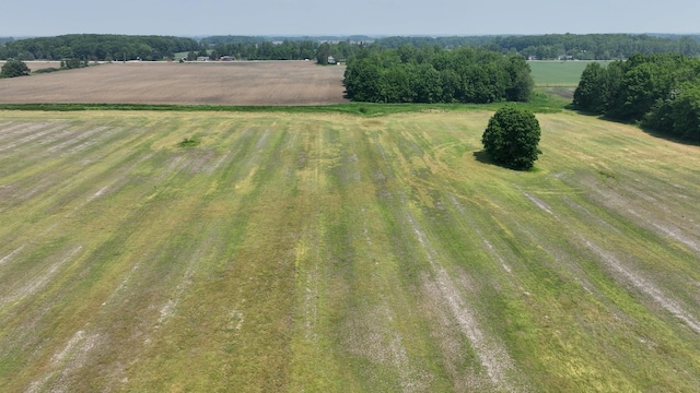 2523 E Wildcat, Saint Johns, MI 48879 - view of rural area