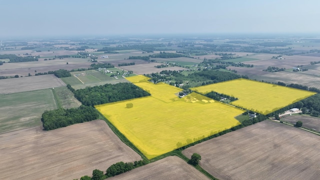 2523 E Wildcat, Saint Johns, MI 48879 - aerial view of sparsely populated area with farmland