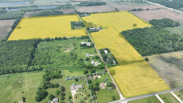 2523 E Wildcat, Saint Johns, MI 48879 - view of rural area with agricultural land and rows of crops