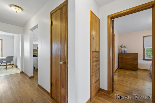 1665 7th St NW, Grand Rapids, MI 49504 - corridor with light wood-type flooring