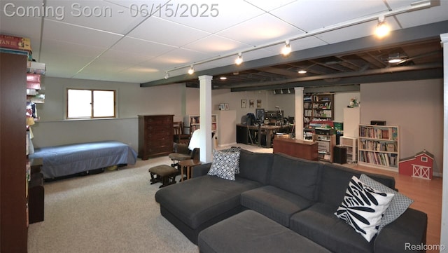 10010 Orchard Ridge Ct, Holly, MI 48442 - bedroom featuring track lighting, decorative columns, and carpet flooring