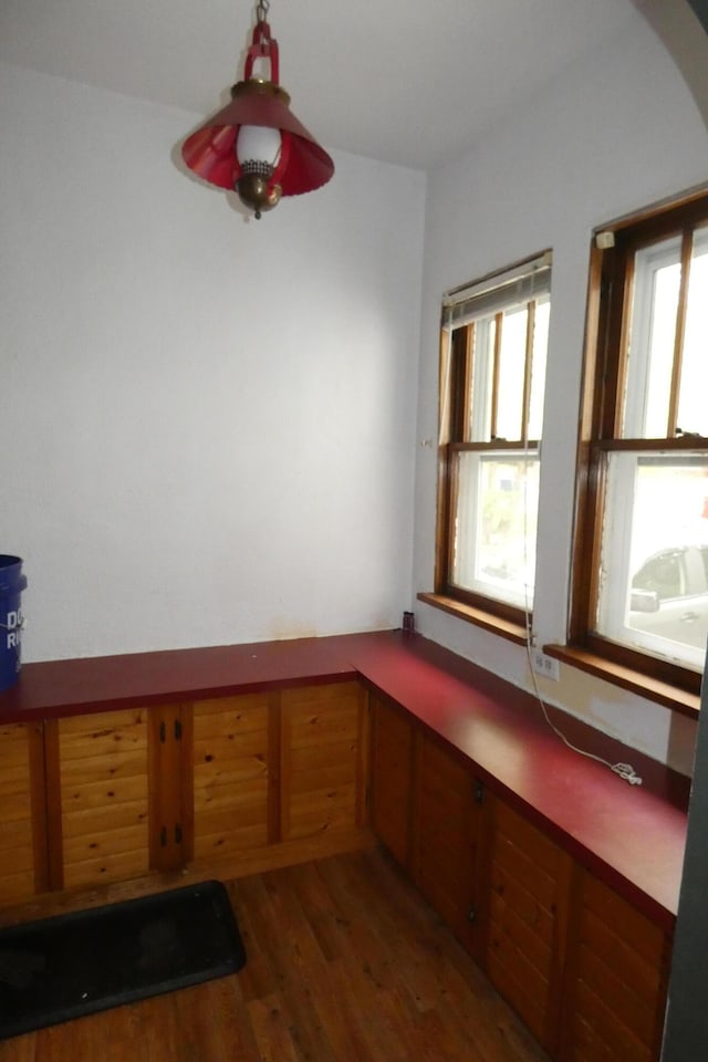 552 W Main St, Niles, MI 49120 - unfurnished dining area featuring wood finished floors and plenty of natural light