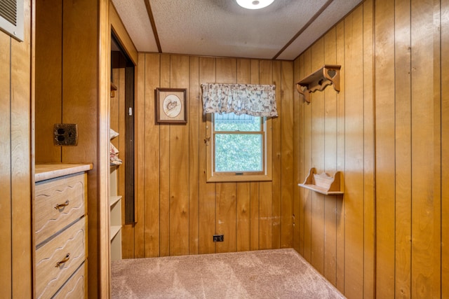 8182 Hardy Dr, Newaygo, MI 49337 - interior space featuring wooden walls, carpet floors, and a textured ceiling