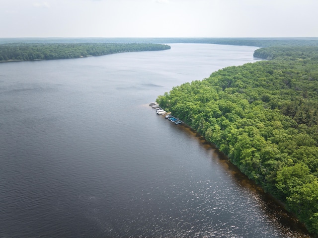 8182 Hardy Dr, Newaygo, MI 49337 - bird's eye view of a nearby body of water