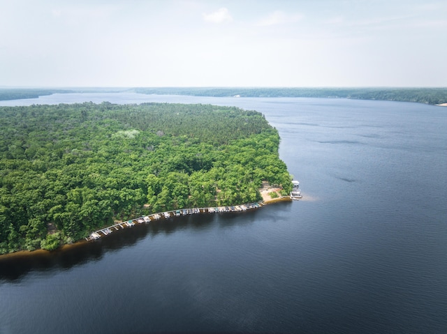 8182 Hardy Dr, Newaygo, MI 49337 - aerial view of a large body of water and a heavily wooded area