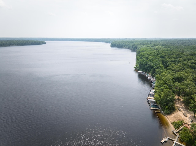 8182 Hardy Dr, Newaygo, MI 49337 - bird's eye view of a large body of water and a heavily wooded area