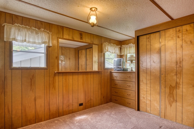 8182 Hardy Dr, Newaygo, MI 49337 - carpeted spare room featuring a textured ceiling and wooden walls